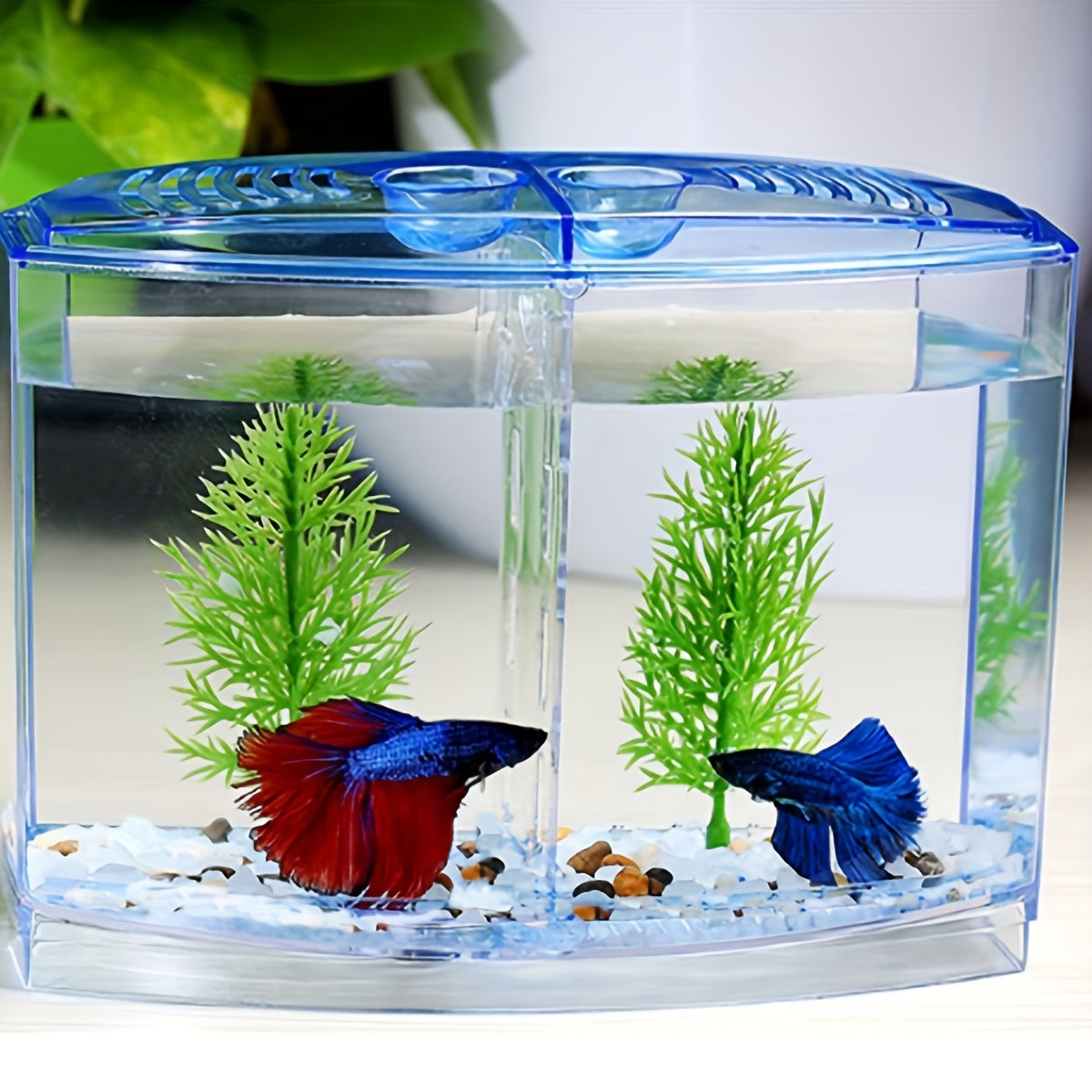 Mini Betta Fish Tank – Small Aquarium Bowl Kit with Divider for Goldfish & Bettas