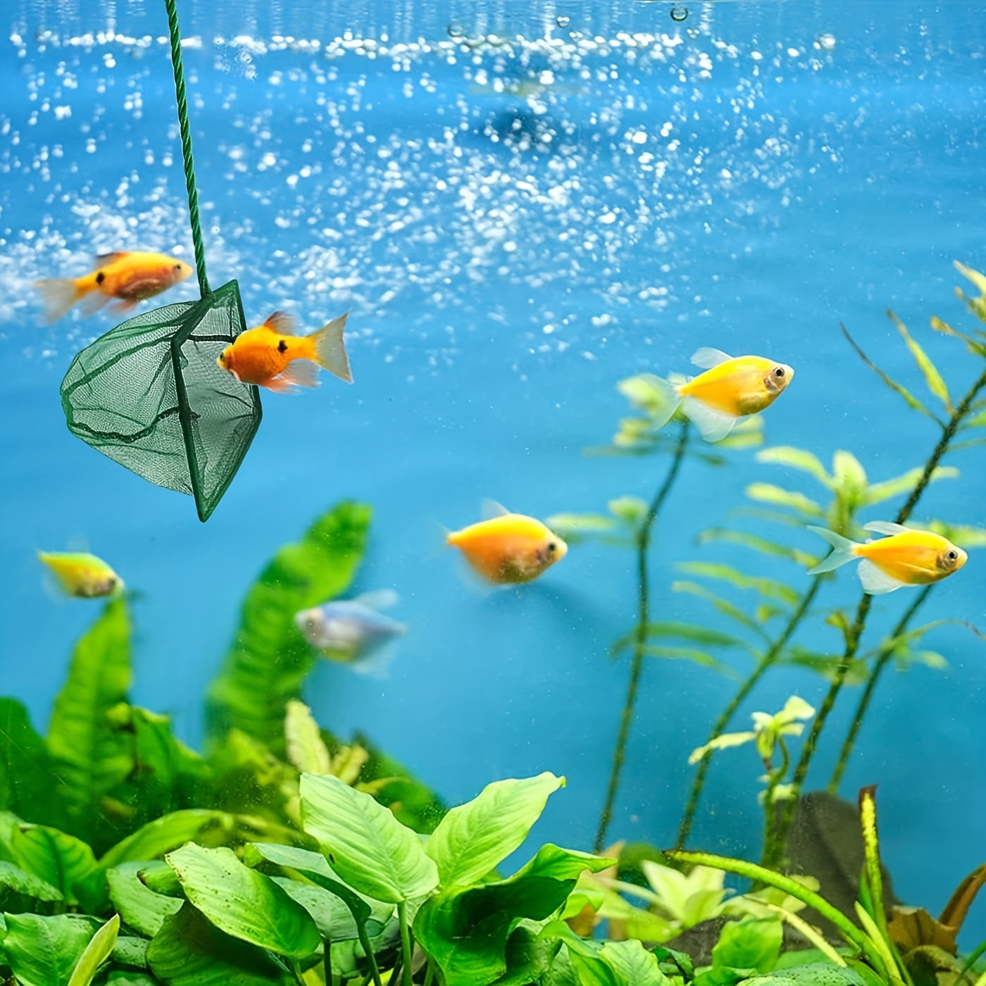 Small Mesh Fish Net – Plastic Handle Aquarium Net for Catching & Handling Fish, 1pc