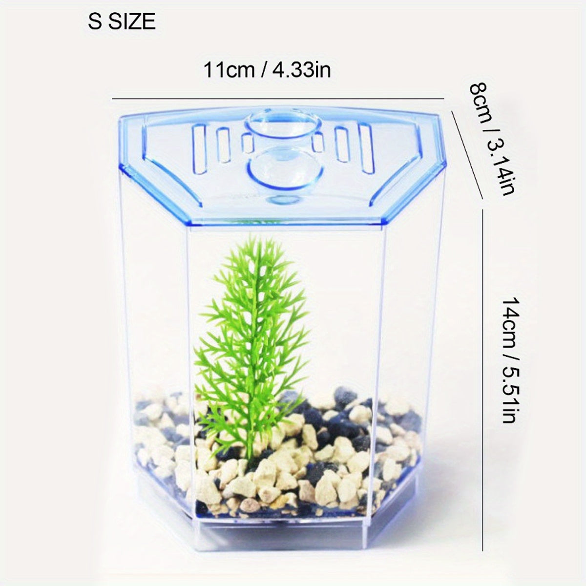 Mini Betta Fish Tank – Small Aquarium Bowl Kit with Divider for Goldfish & Bettas