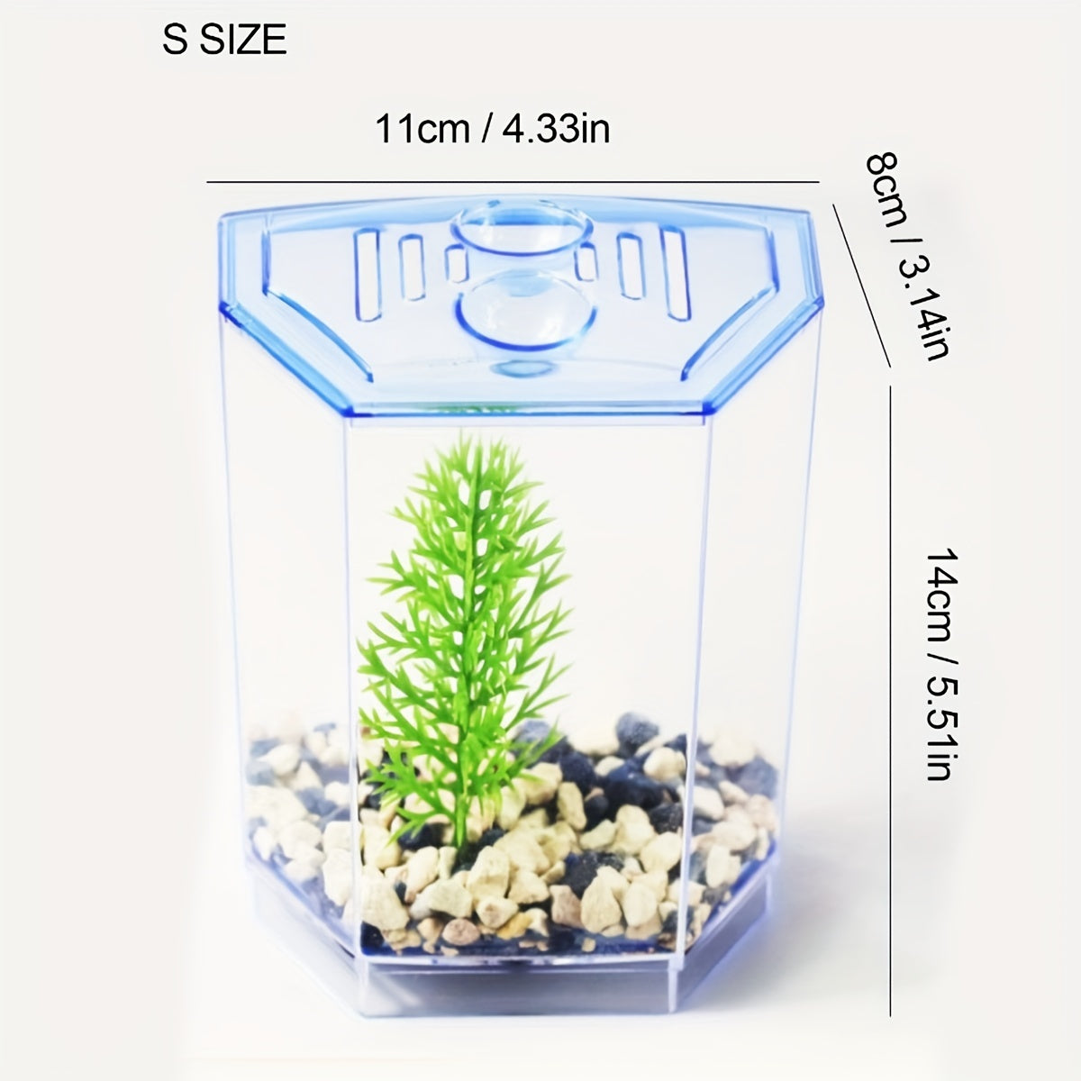 Mini Betta Fish Tank – Small Aquarium Bowl Kit with Divider for Goldfish & Bettas
