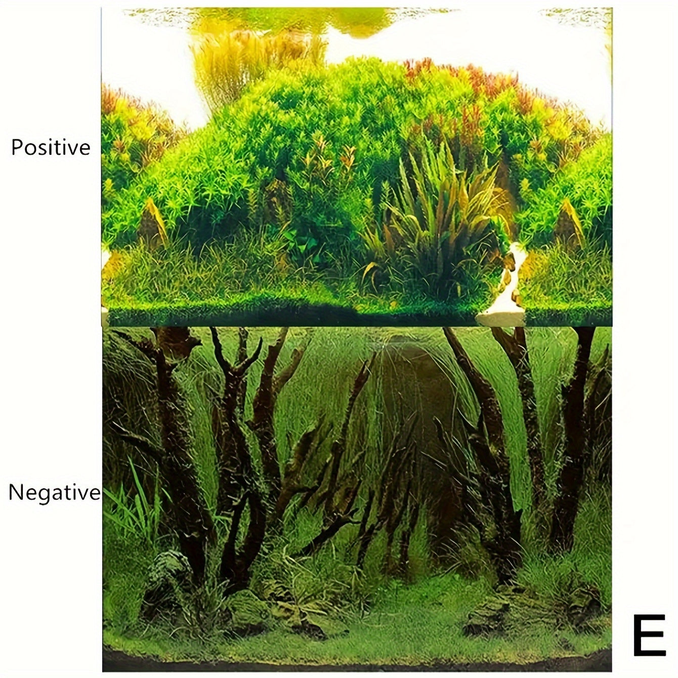 Double-Sided Fish Tank Background Paper – Decorative Aquarium Wallpaper, 1pc