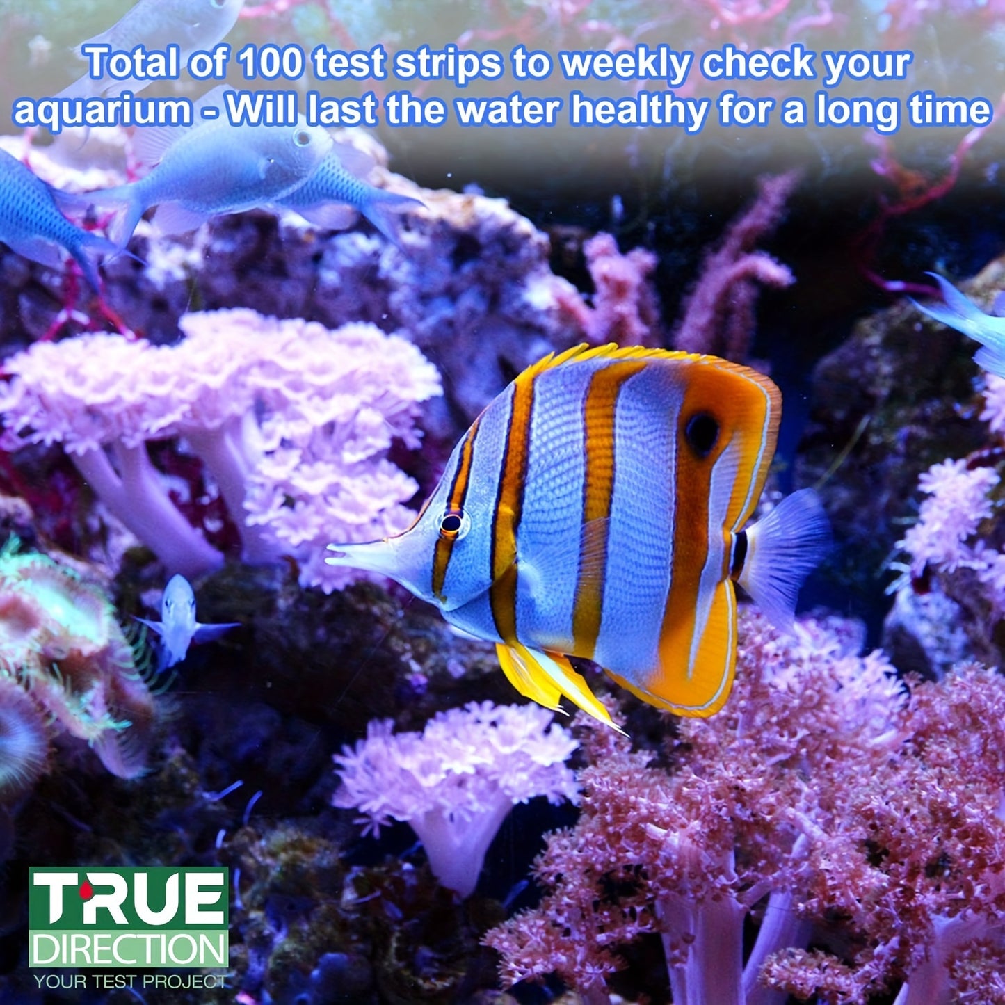 7-Way Aquarium Test Strips – Freshwater & Saltwater Kit for pH, Nitrite, Nitrate, Chlorine & Hardness, 100 Strips
